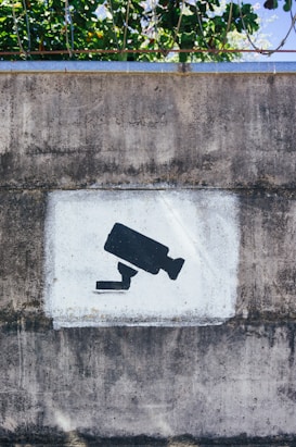 A concrete wall features a stenciled silhouette of a security camera in black, set against a white square background. Above the wall, greenery is visible with leaves and branches extending down, and barbed wire runs horizontally along the top edge.