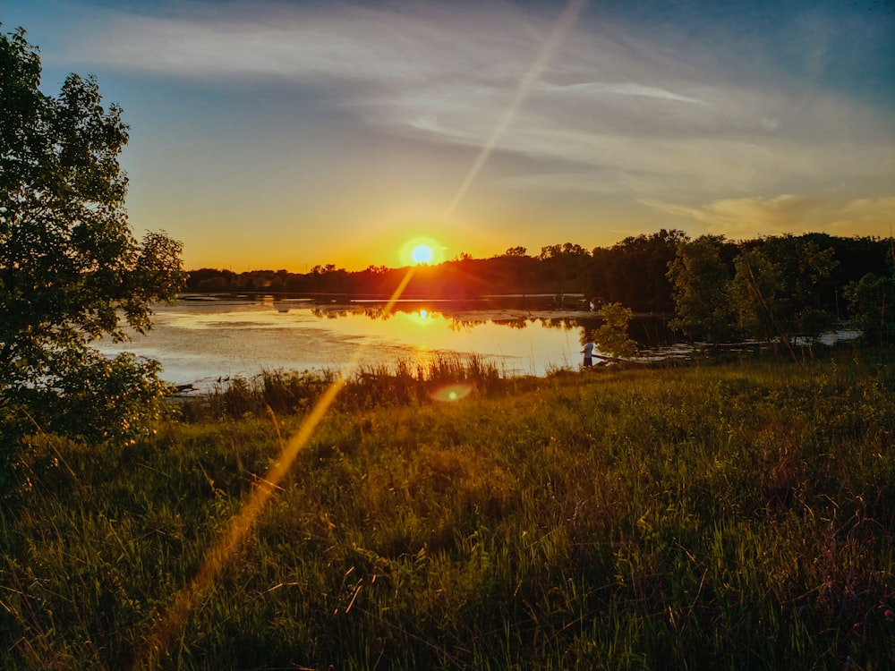 Champ d’herbe verte près du plan d’eau au coucher du soleil