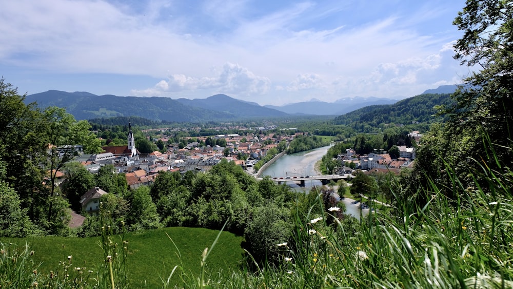 campo di erba verde vicino agli edifici della città sotto il cielo blu durante il giorno