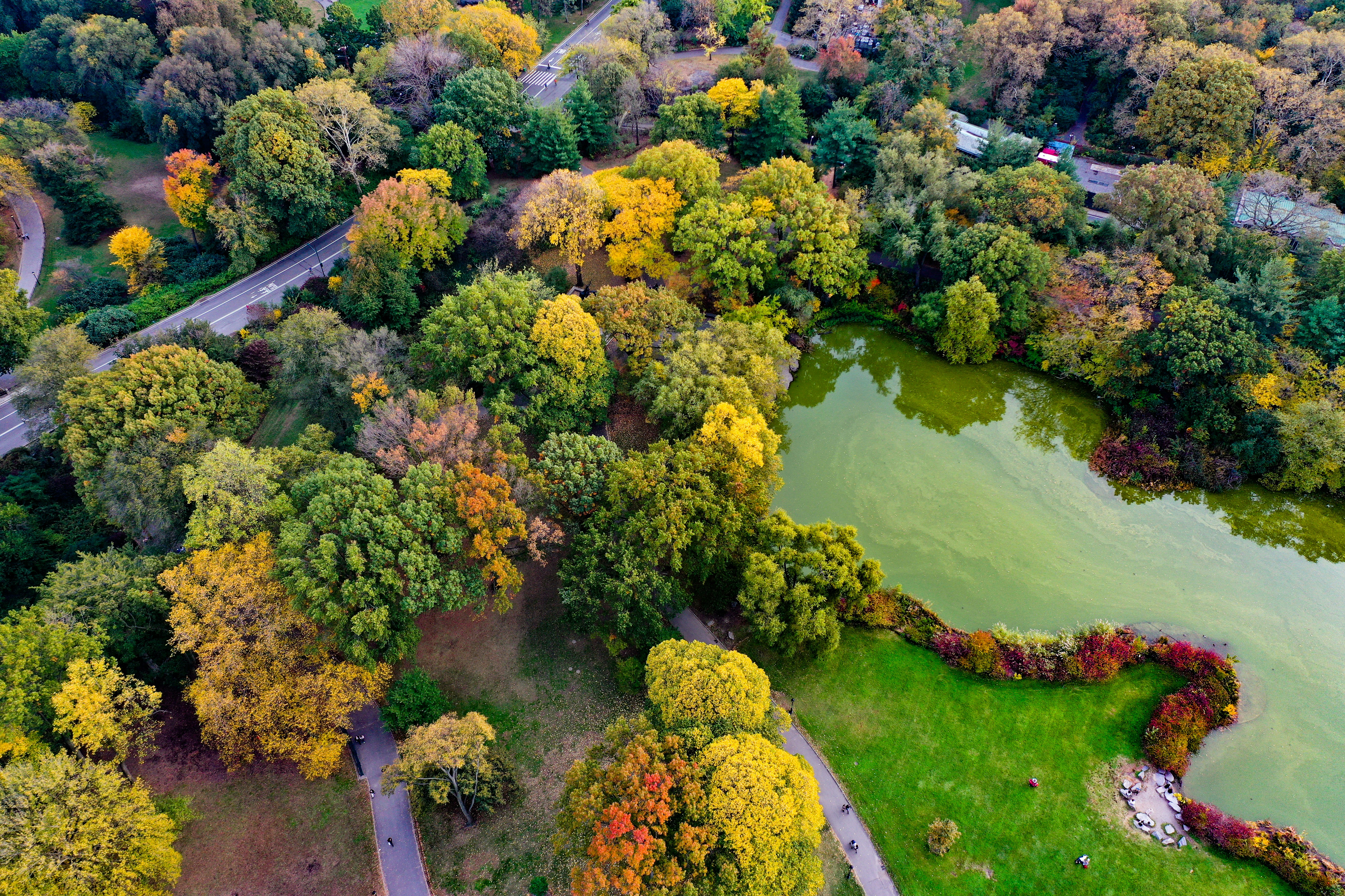 Contemporary Day Auction