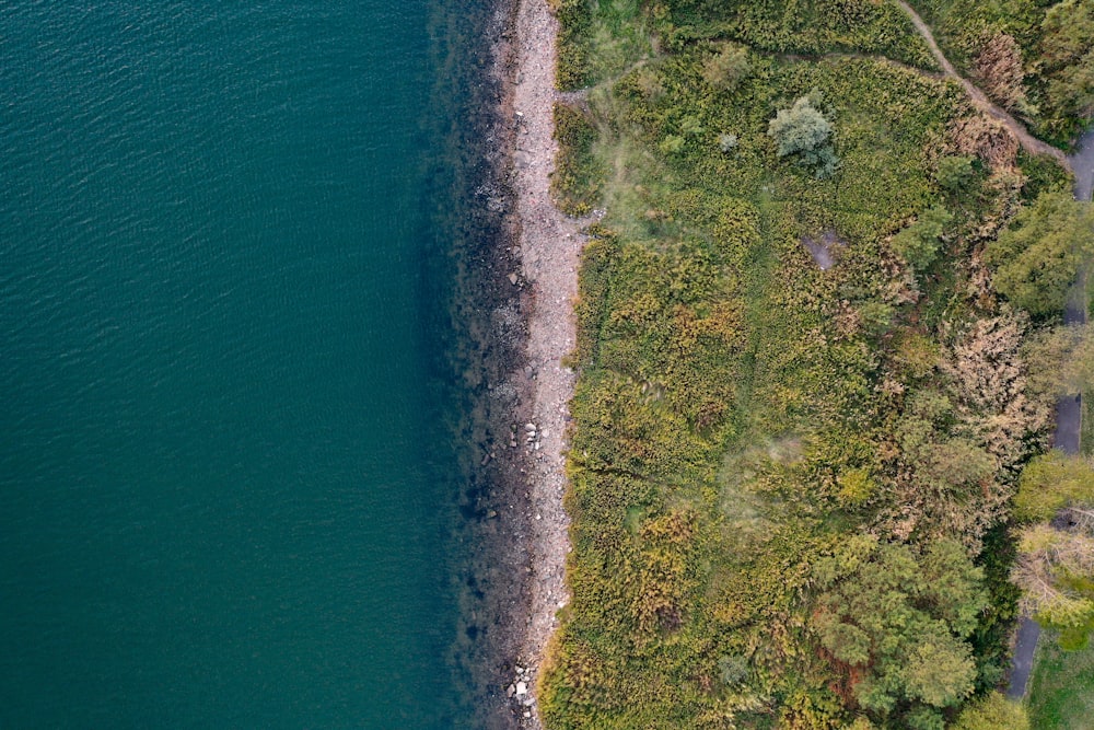 Vue aérienne d’une terre verte et brune au bord d’un plan d’eau pendant la journée
