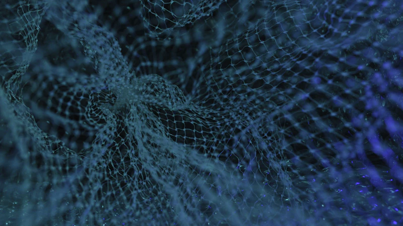 Beyin ve sinir sistemi kesitleri