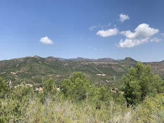 A scenic view of a popular travel destination with lush landscapes and clear blue skies.