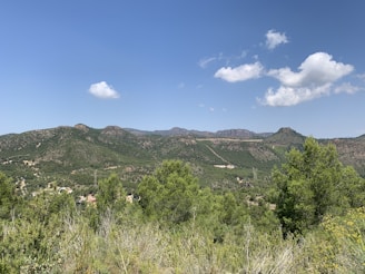 A scenic view of a popular travel destination featuring lush greenery and a clear blue sky.