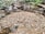 A close-up of a stump being ground down in a garden.