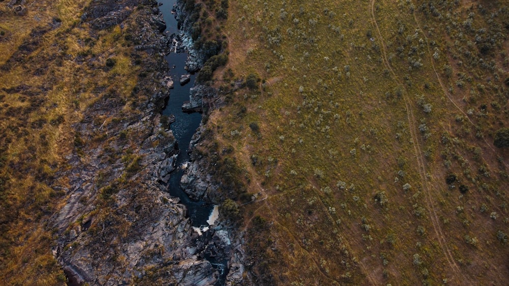 aerial view of green grass field and river