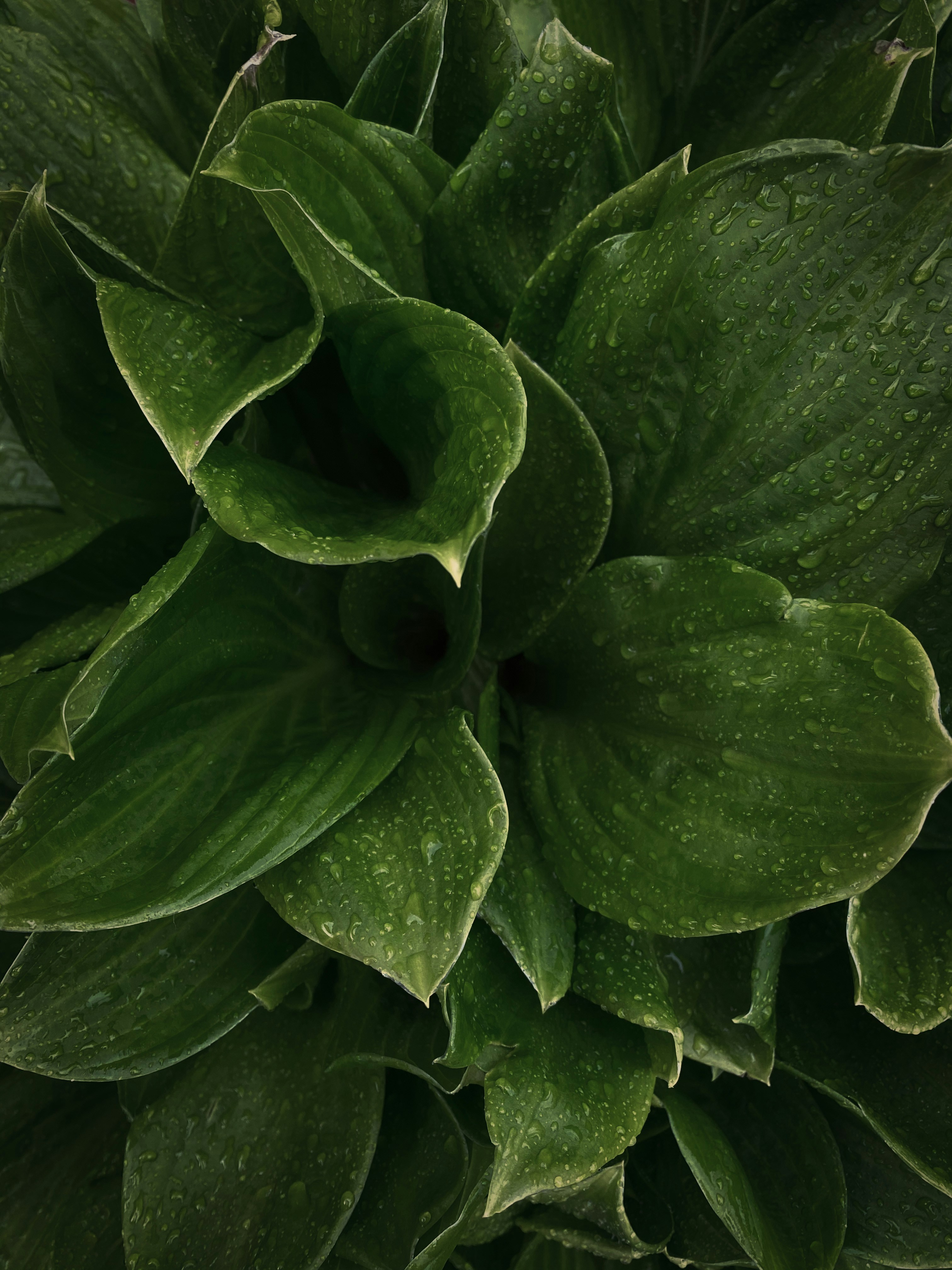 Photo by ogurtsovadarya