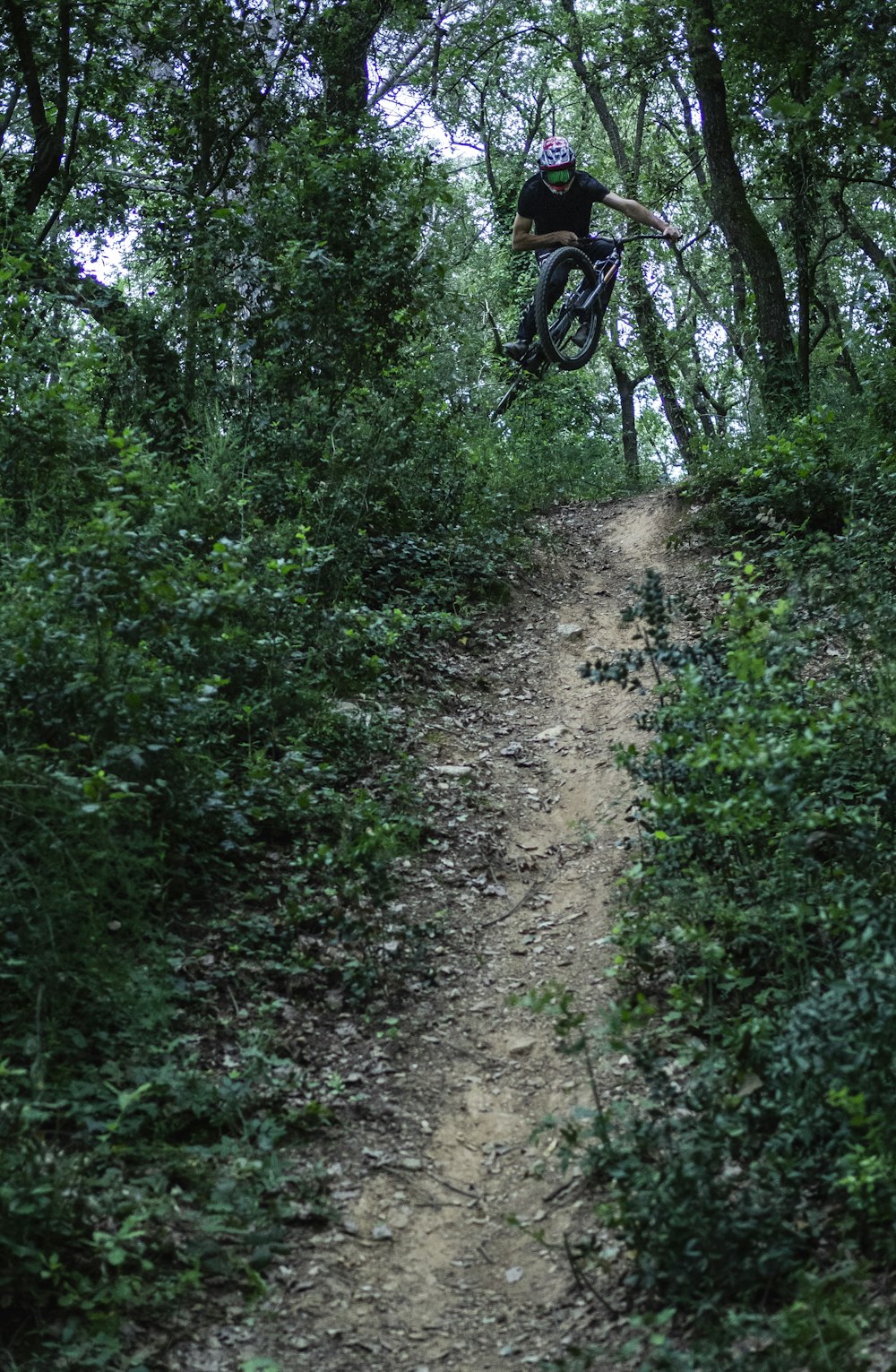 black motorcycle on dirt road between green grass and trees during daytime