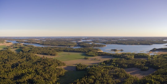 green trees and grass field near body of water during daytime in Taivassalo Finland