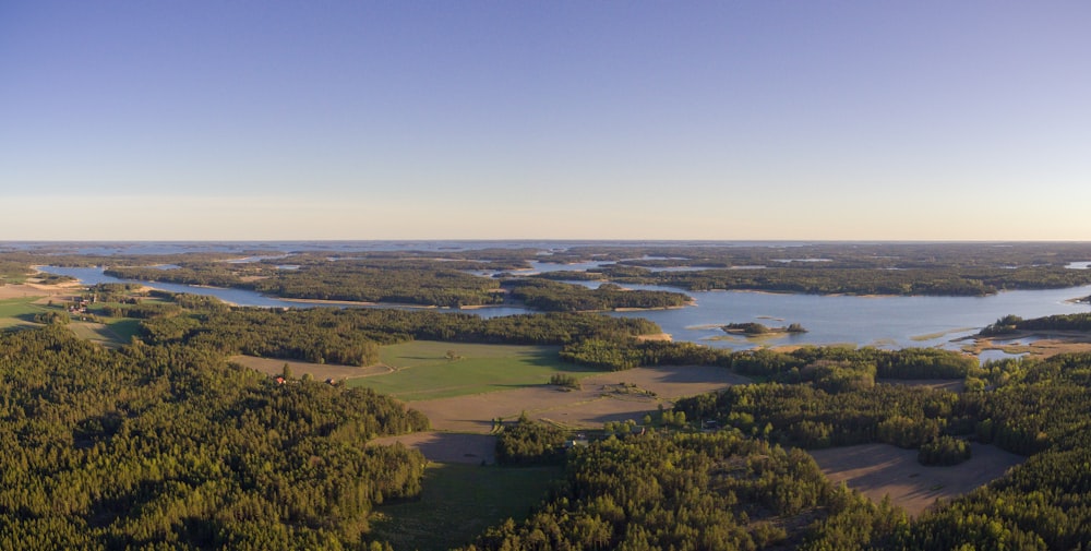 green trees and grass field near body of water during daytime