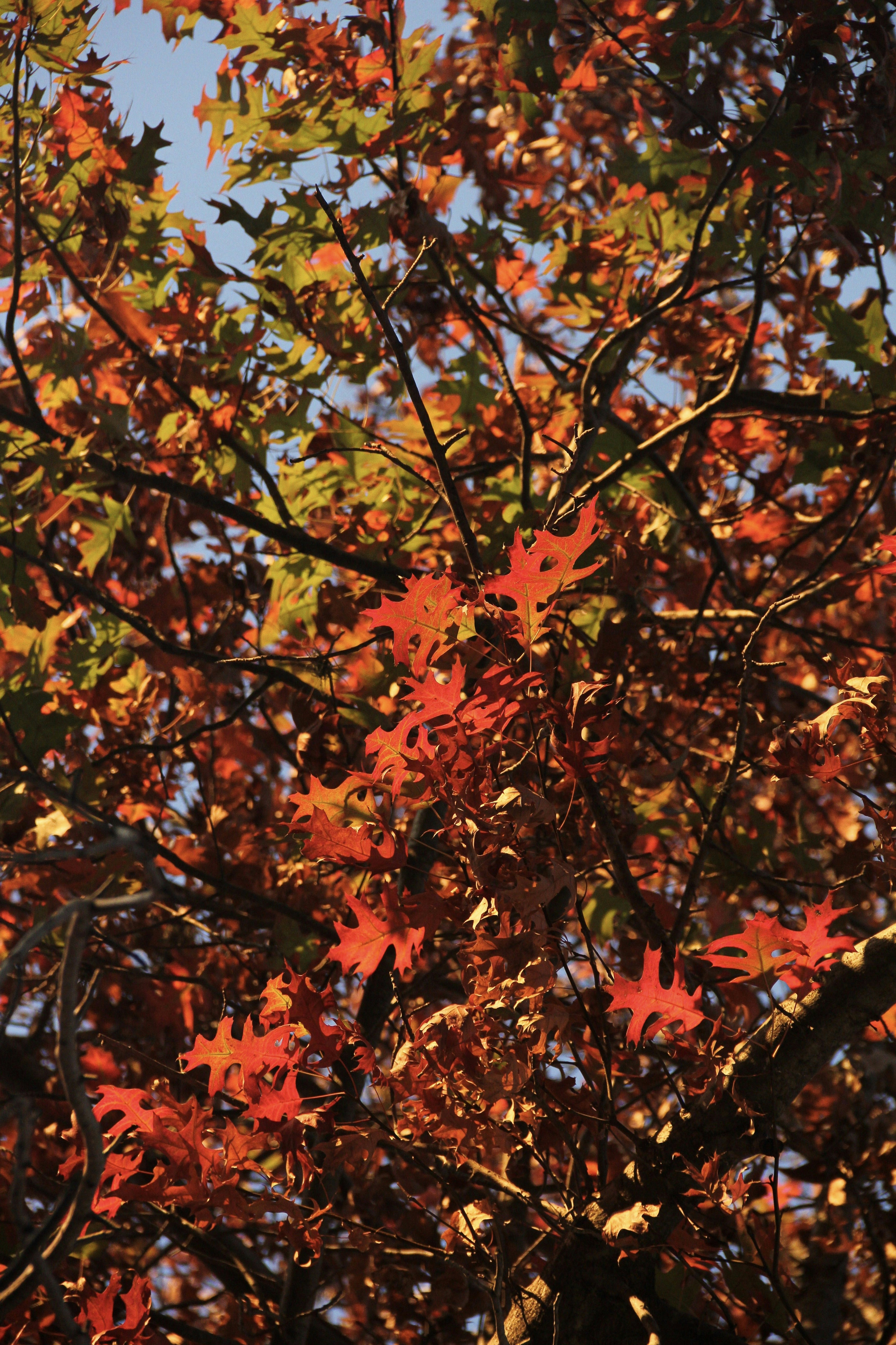 Photo by lulialvis93