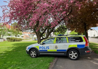 A police car is parked on a grassy area under a large tree with pink blossoms. The car is white with blue and yellow markings, and appears to be situated in a residential neighborhood with houses and a sidewalk visible in the background. The scene is bright and green, indicative of spring or early summer.