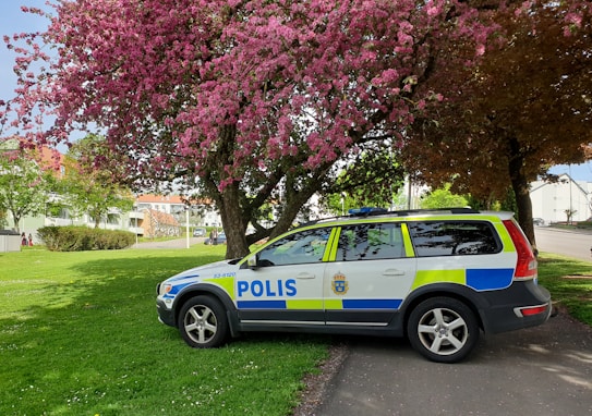 A police car is parked on a grassy area under a large tree with pink blossoms. The car is white with blue and yellow markings, and appears to be situated in a residential neighborhood with houses and a sidewalk visible in the background. The scene is bright and green, indicative of spring or early summer.