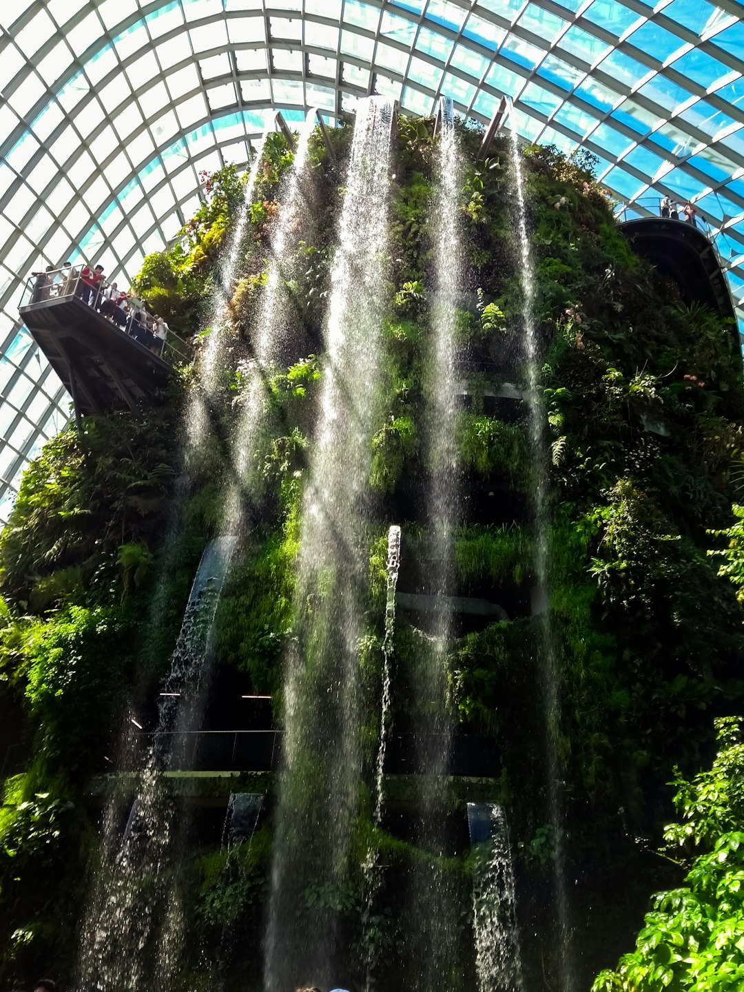 Forest photo spot Gardens by the Bay Singapore