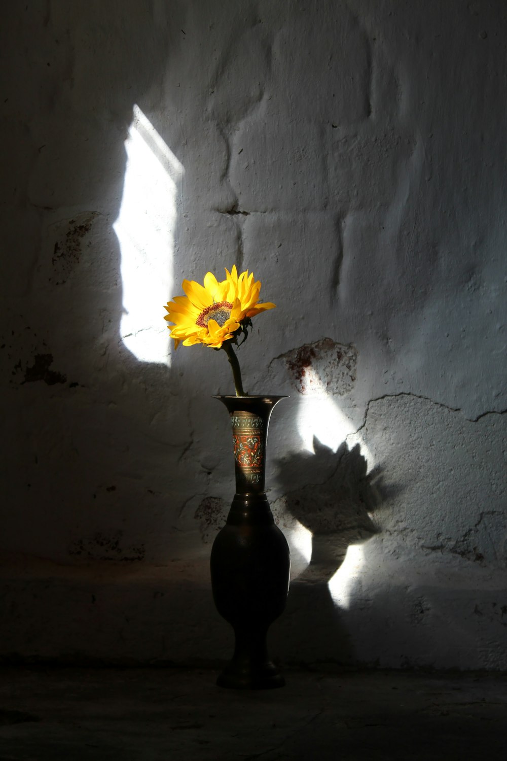 yellow and white flower in black ceramic vase