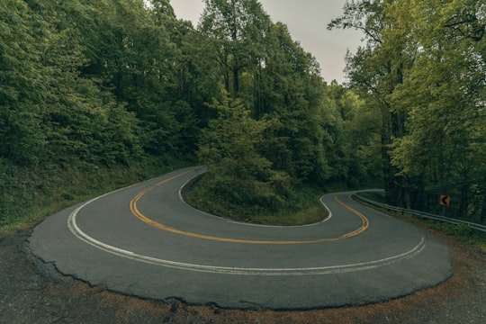 gray asphalt road in between green trees during daytime in Blue Ridge Mountains United States