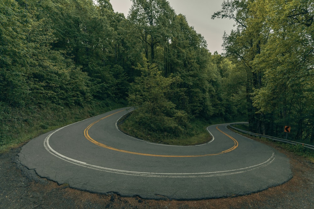 gray asphalt road in between green trees during daytime
