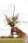 Close-up of a child’s hands holding a small bouquet of wildflowers on a sunny day.