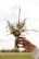 Close-up of a child’s hands holding a small bouquet of wildflowers on a sunny day.