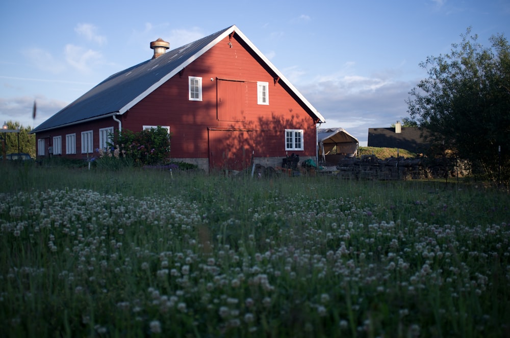 낮에는 푸른 하늘 아래 푸른 잔디밭에 있는 갈색과 흰색 목조 주택