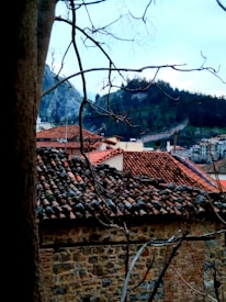 A picturesque view of a quaint village featuring tiled roofs and a backdrop of mountains and forests. Bare tree branches frame the scene, adding an artistic touch.