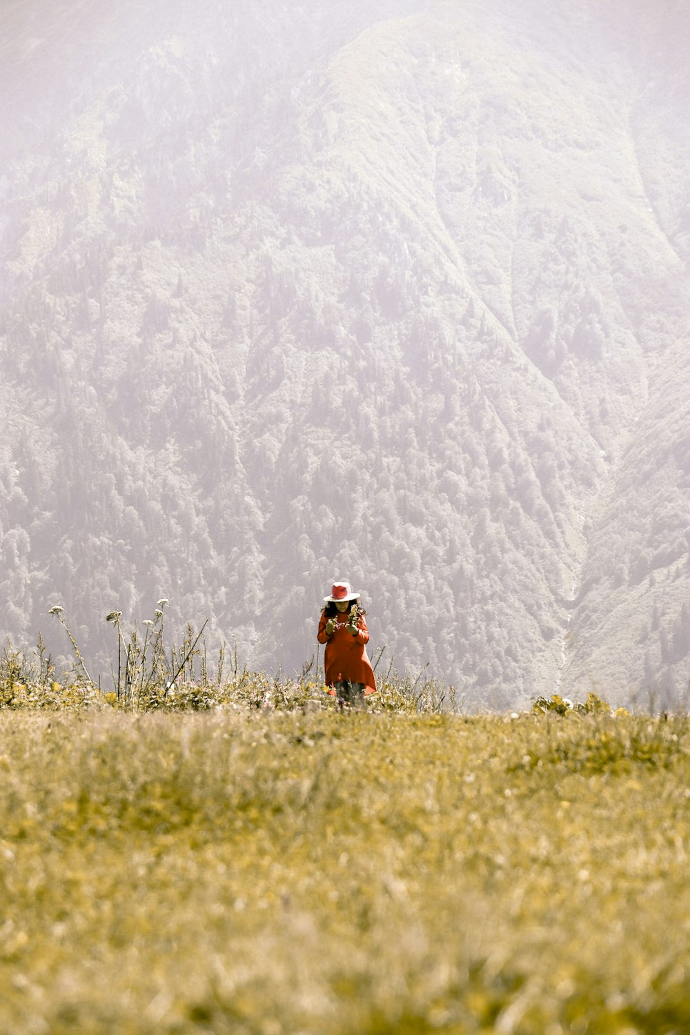 2 person sitting on green grass during daytime