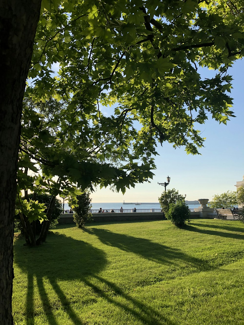 green grass field with trees and white building in distance