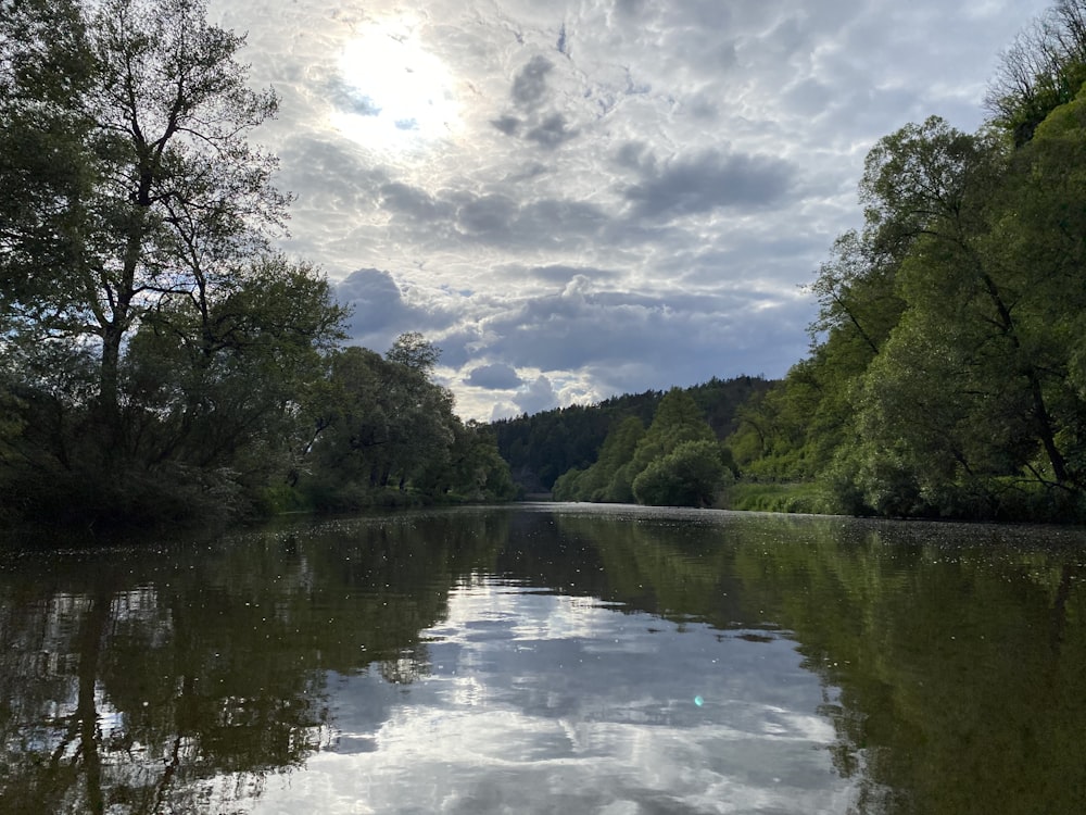 green trees beside river under white clouds and blue sky during daytime