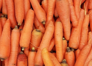 orange carrots on human hand