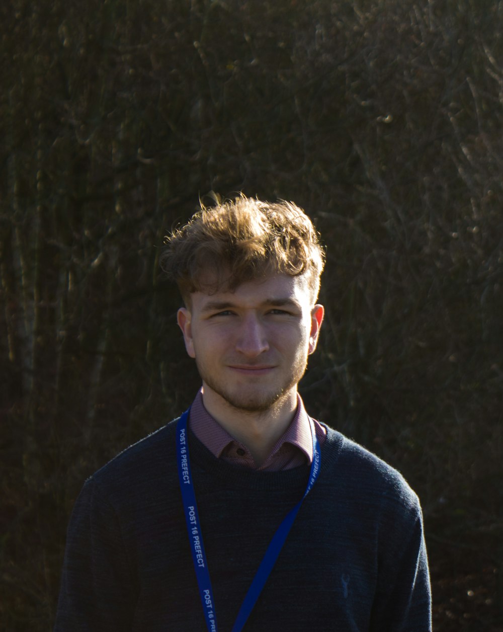 man in blue sweater standing near trees during daytime