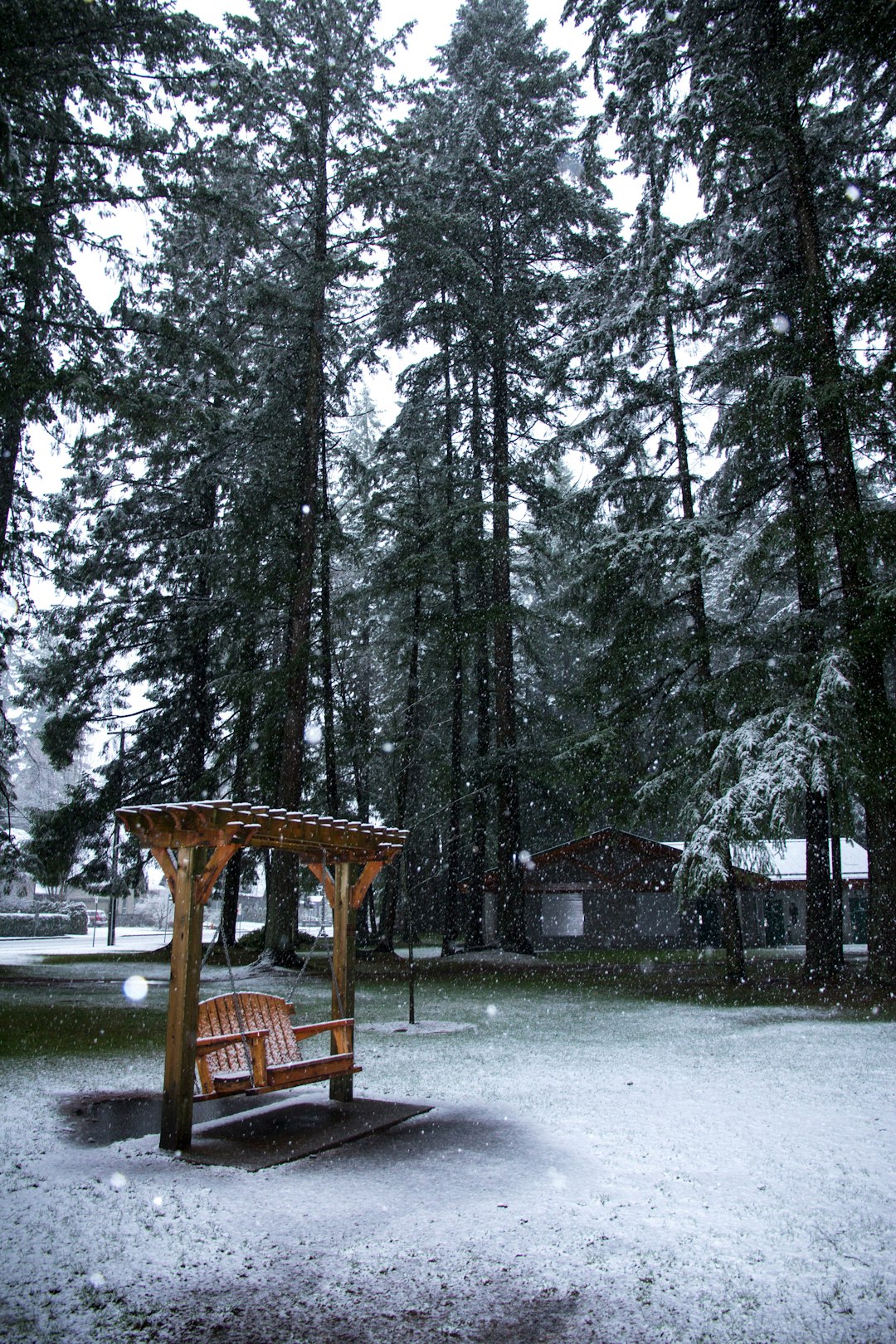 Forest photo spot Vancouver Horseshoe Bay Ferry Terminal