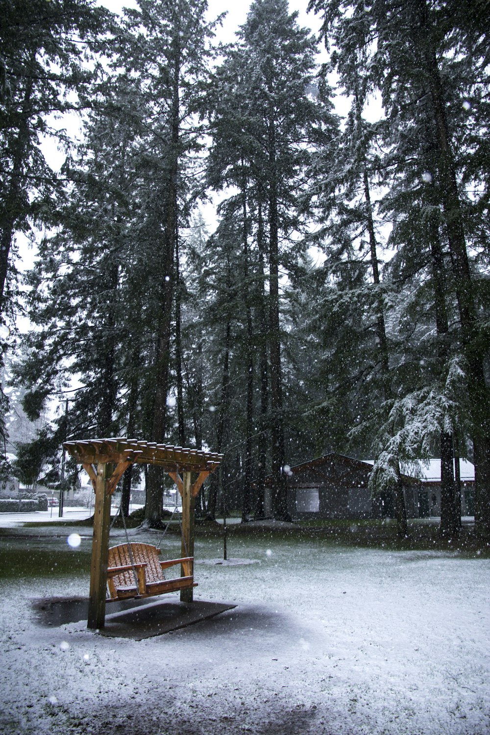 brown wooden shed in the middle of the forest during daytime