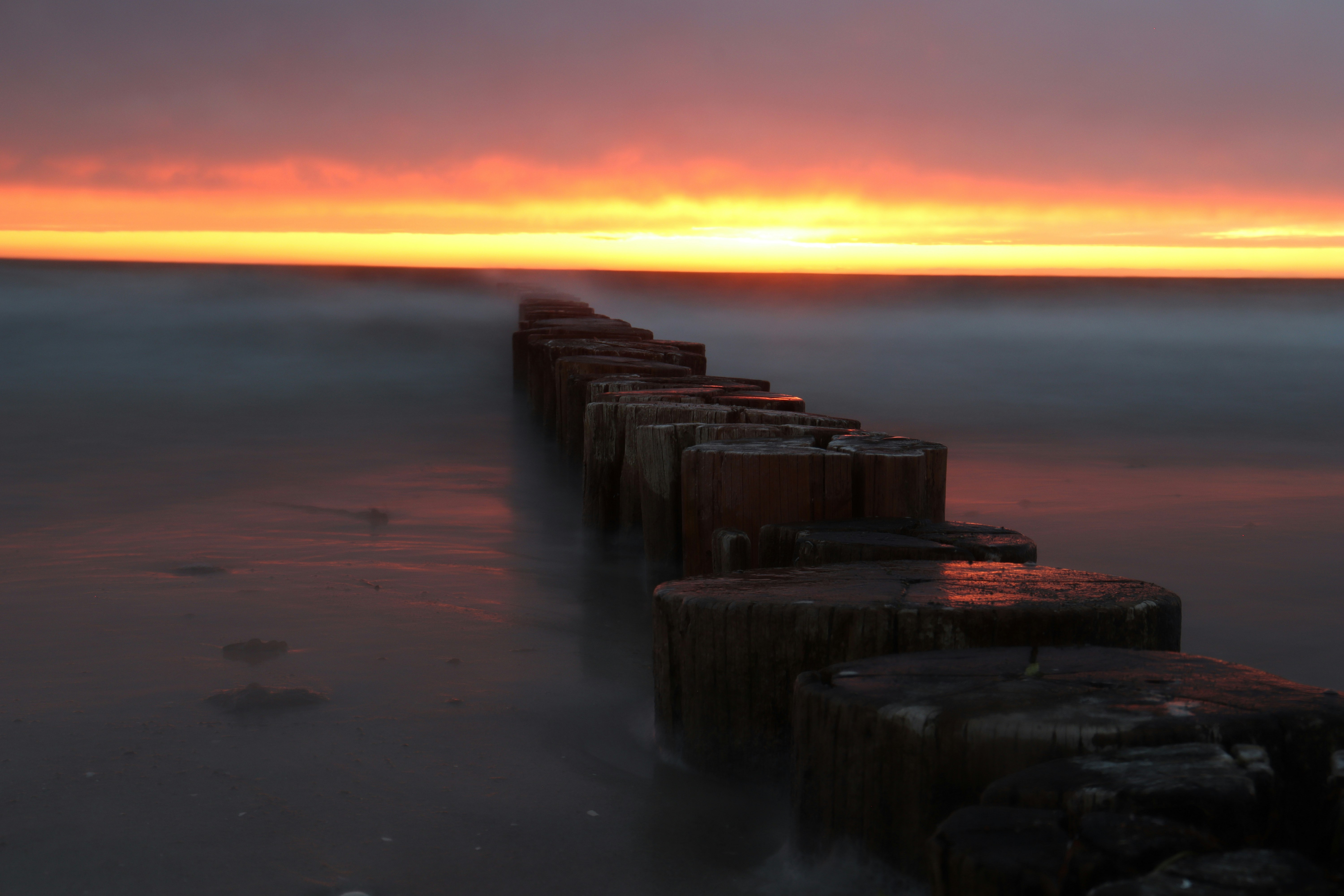 Photo by herrhorstmann_