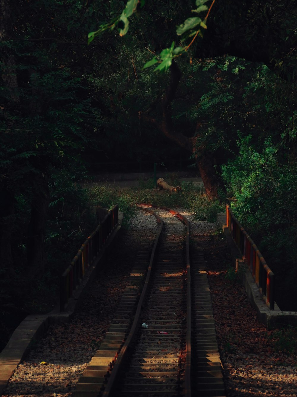 brown train rail surrounded by green trees