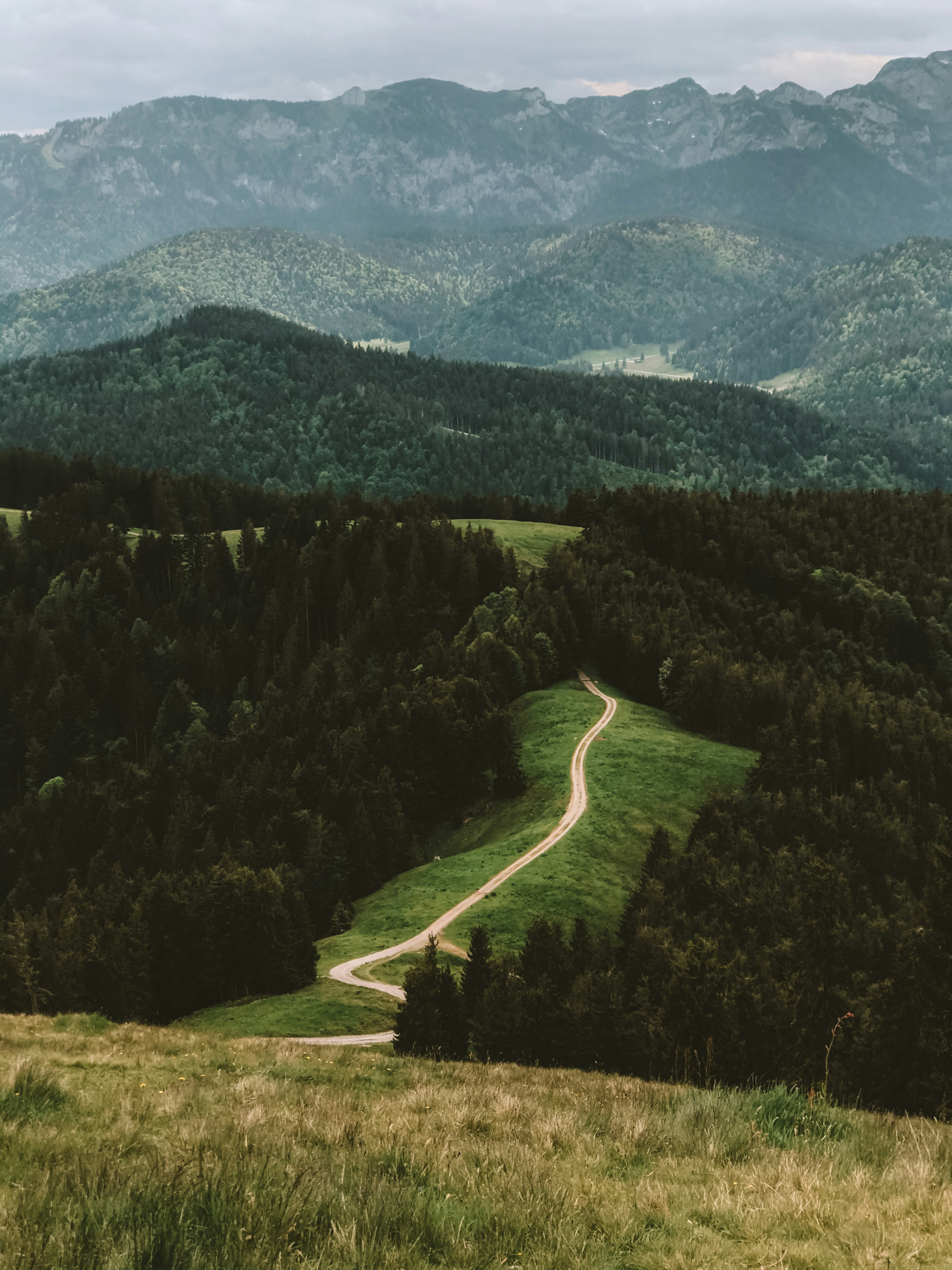 The Anti-Inflammatory Diet Ancient Cultures Naturally Followed