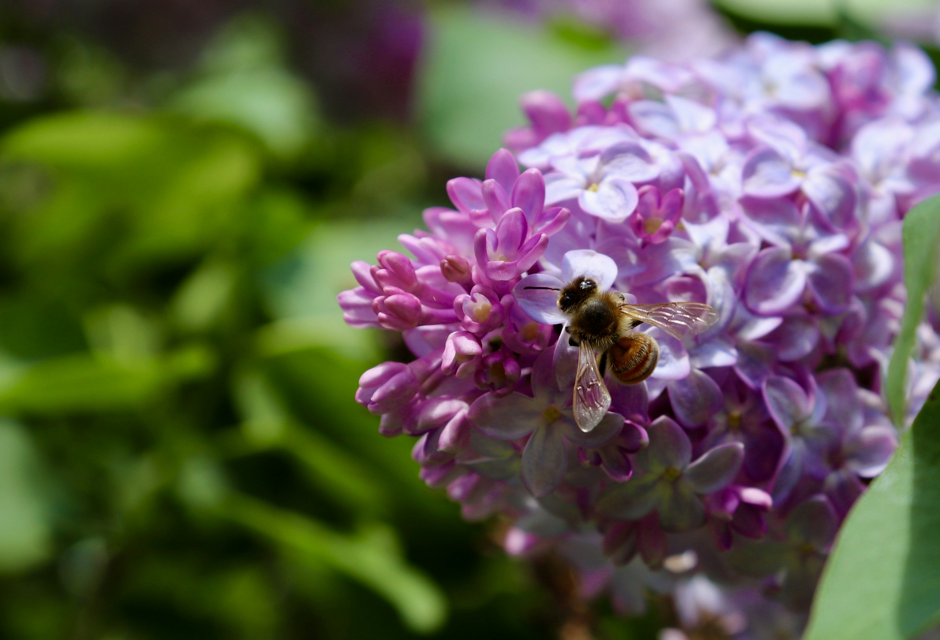 Photo by alexialabranche