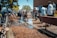 A group of people are actively participating in cleaning an outdoor area. Some are using brooms and shovels to clear debris and water from a pathway, while others work together to manage the surroundings. The scene is set against a backdrop of trees and a building, with bright sunlight highlighting the activity.