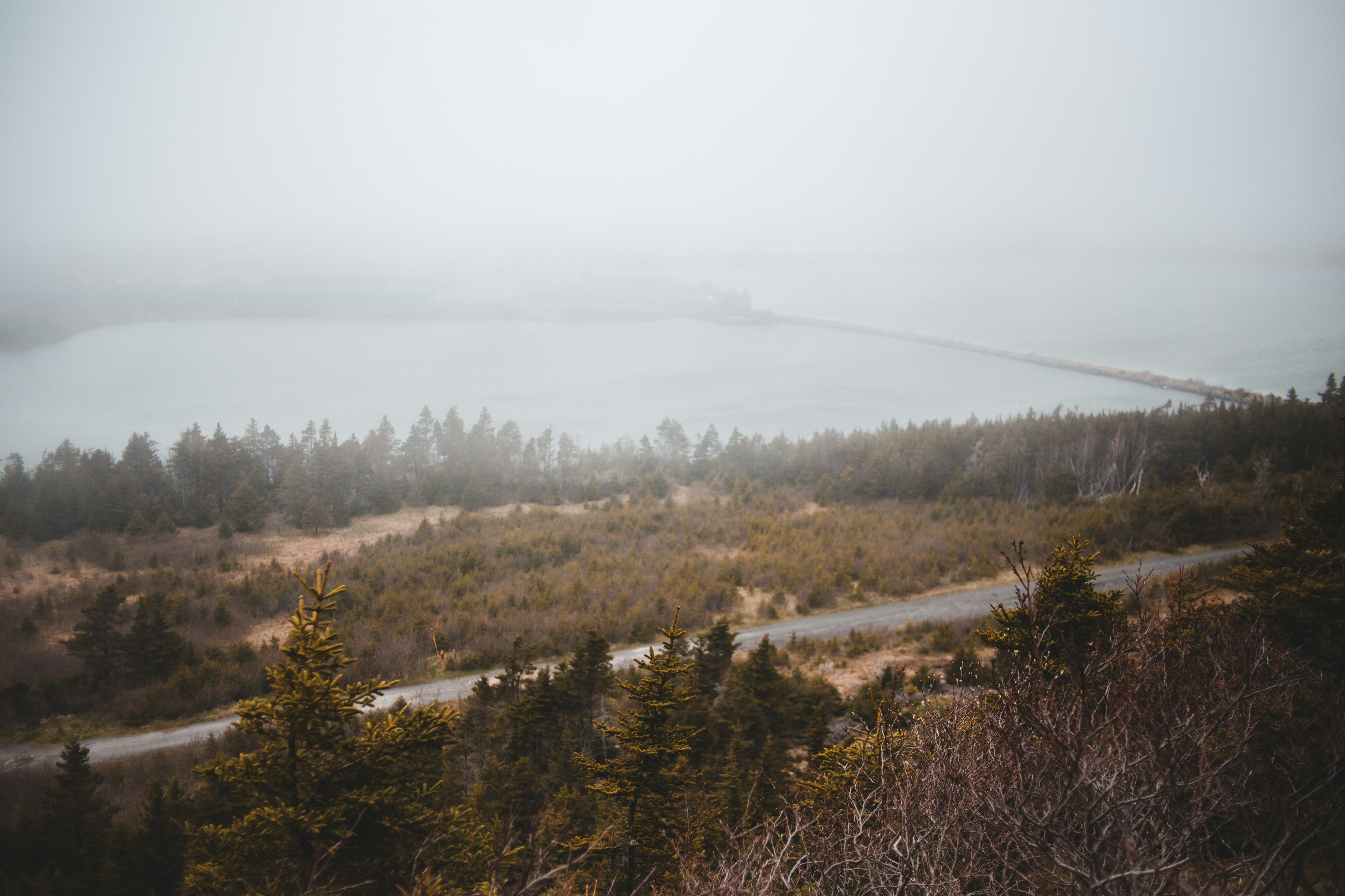 Photo by introspectivedsgn