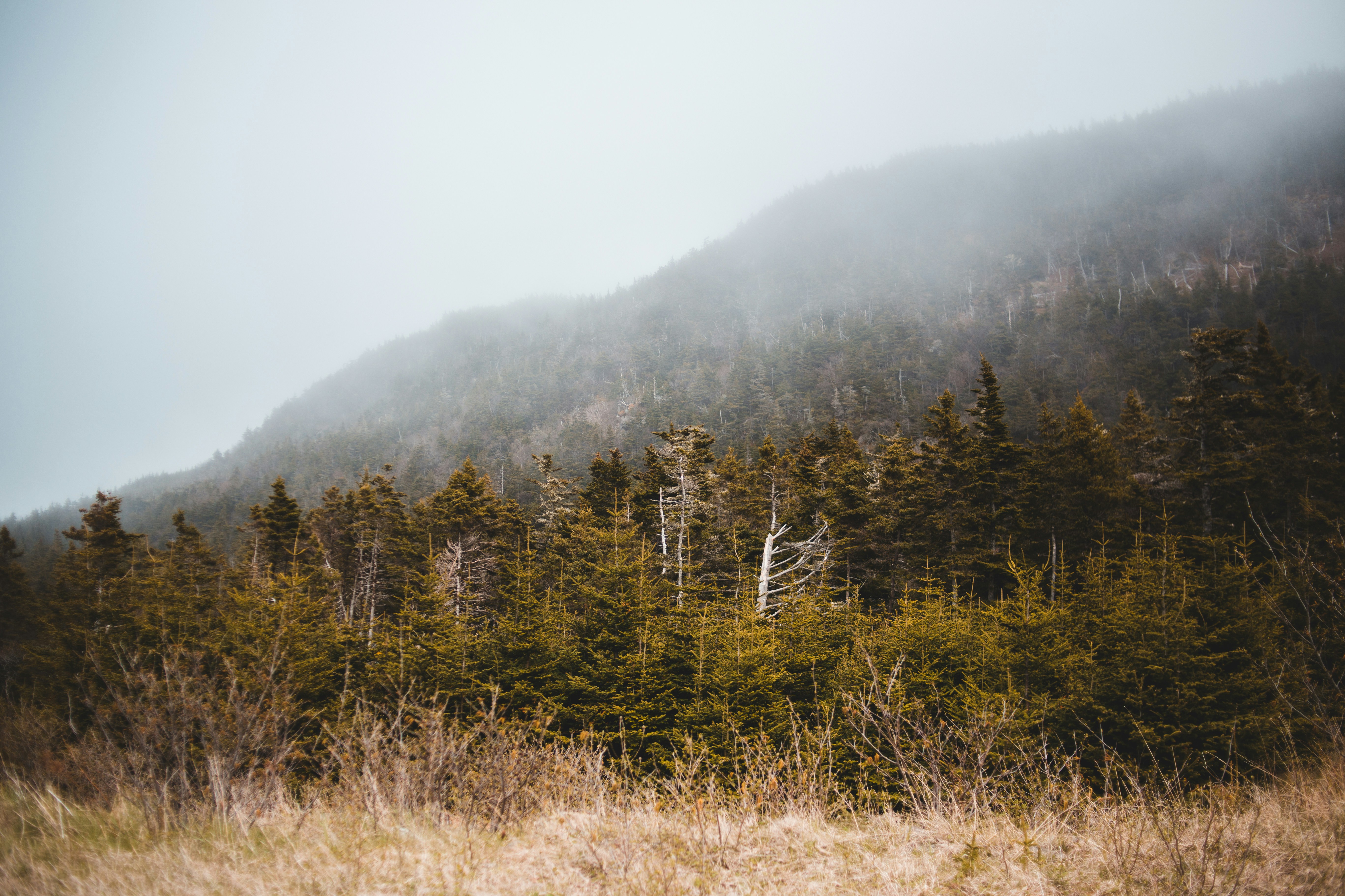 Photo by introspectivedsgn