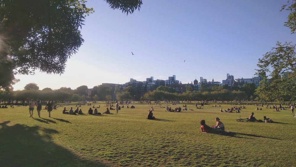 people on green grass field near body of water during daytime