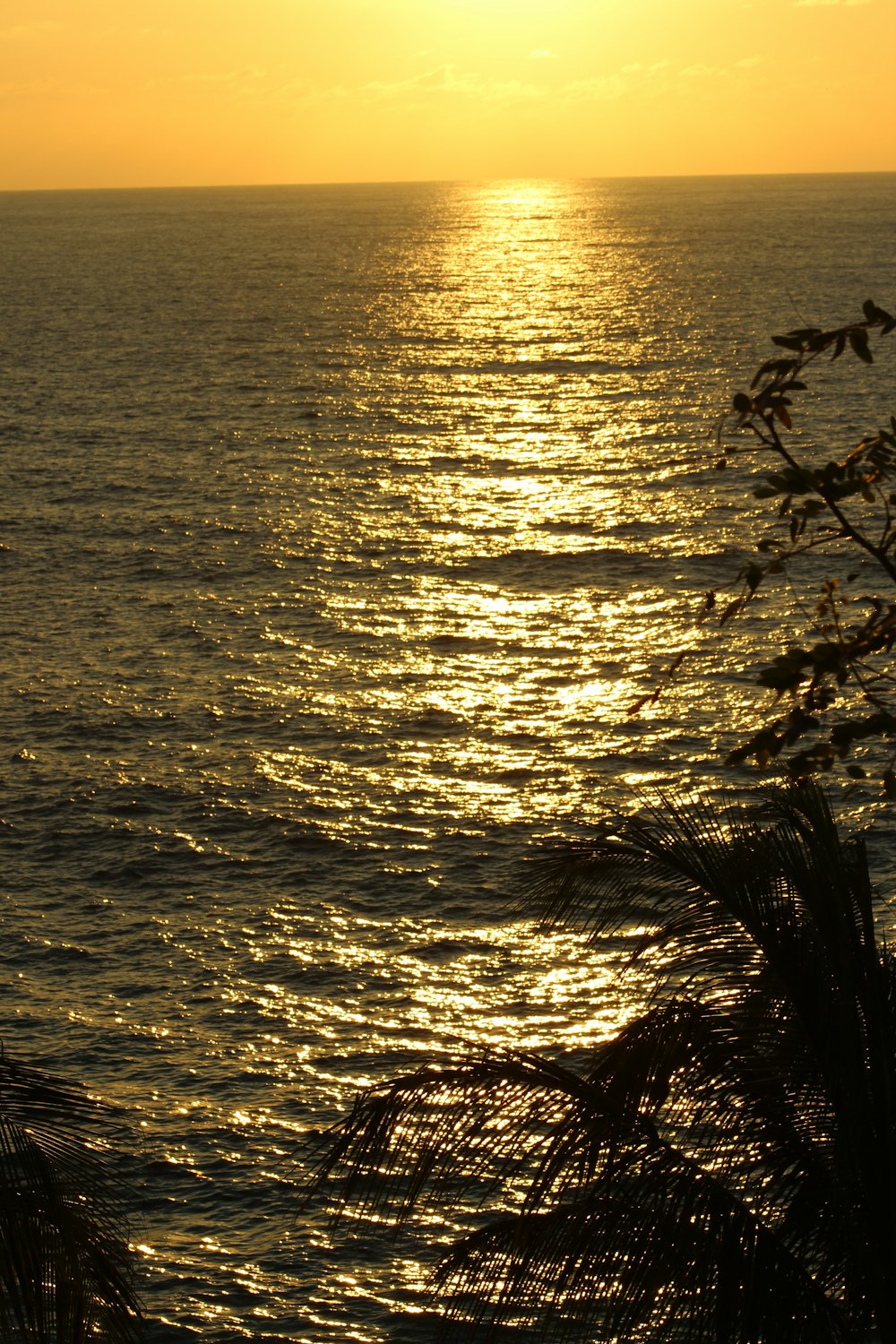 body of water during sunset