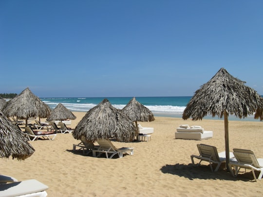 brown wooden beach lounge chairs on white sand beach during daytime in Punta Cana Dominican Republic