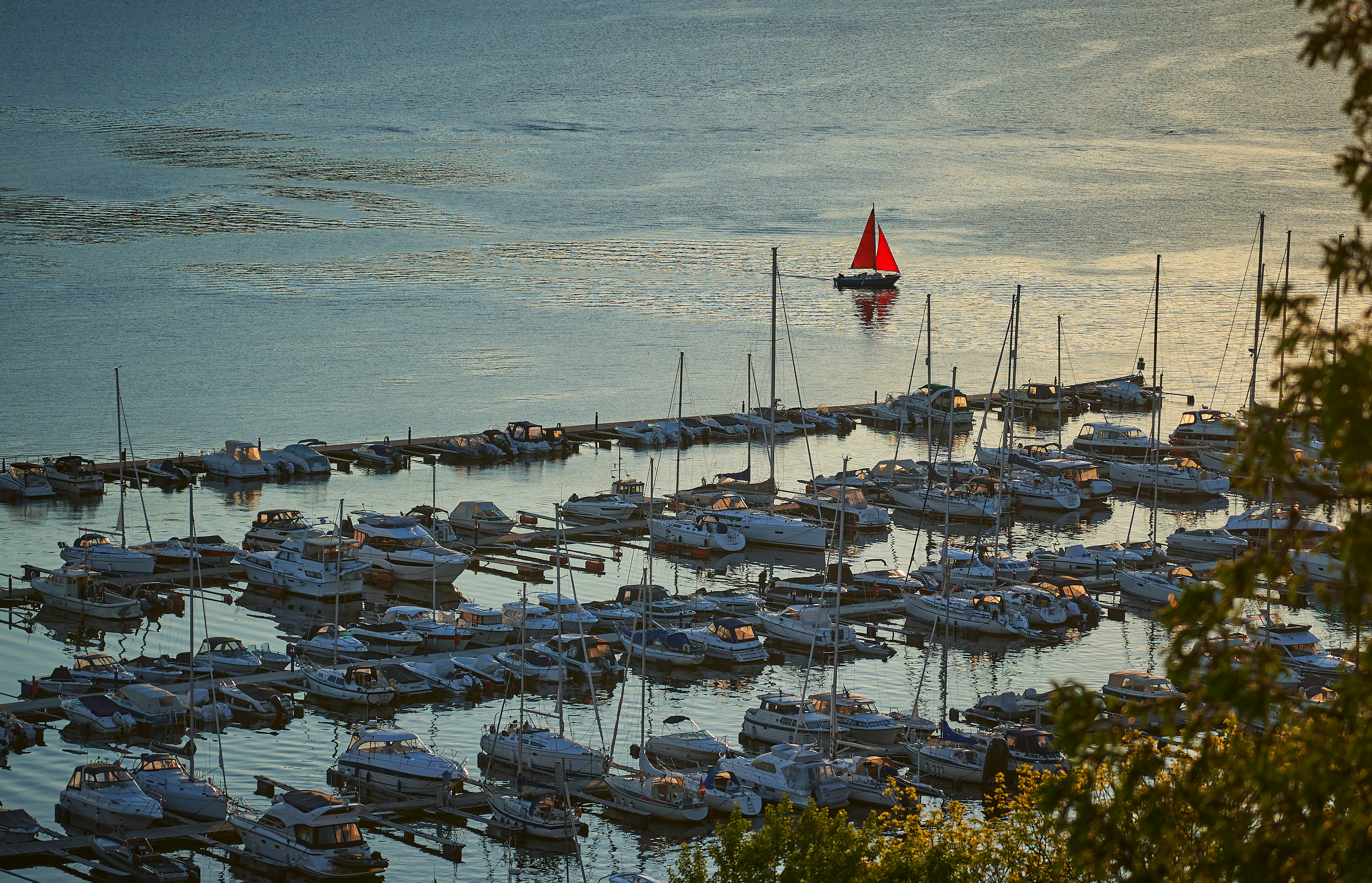Photo by vidarnm