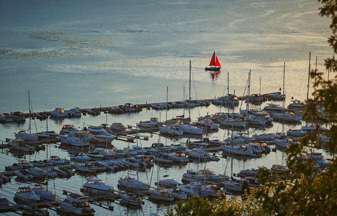 white and red sail boats on sea shore during daytime
