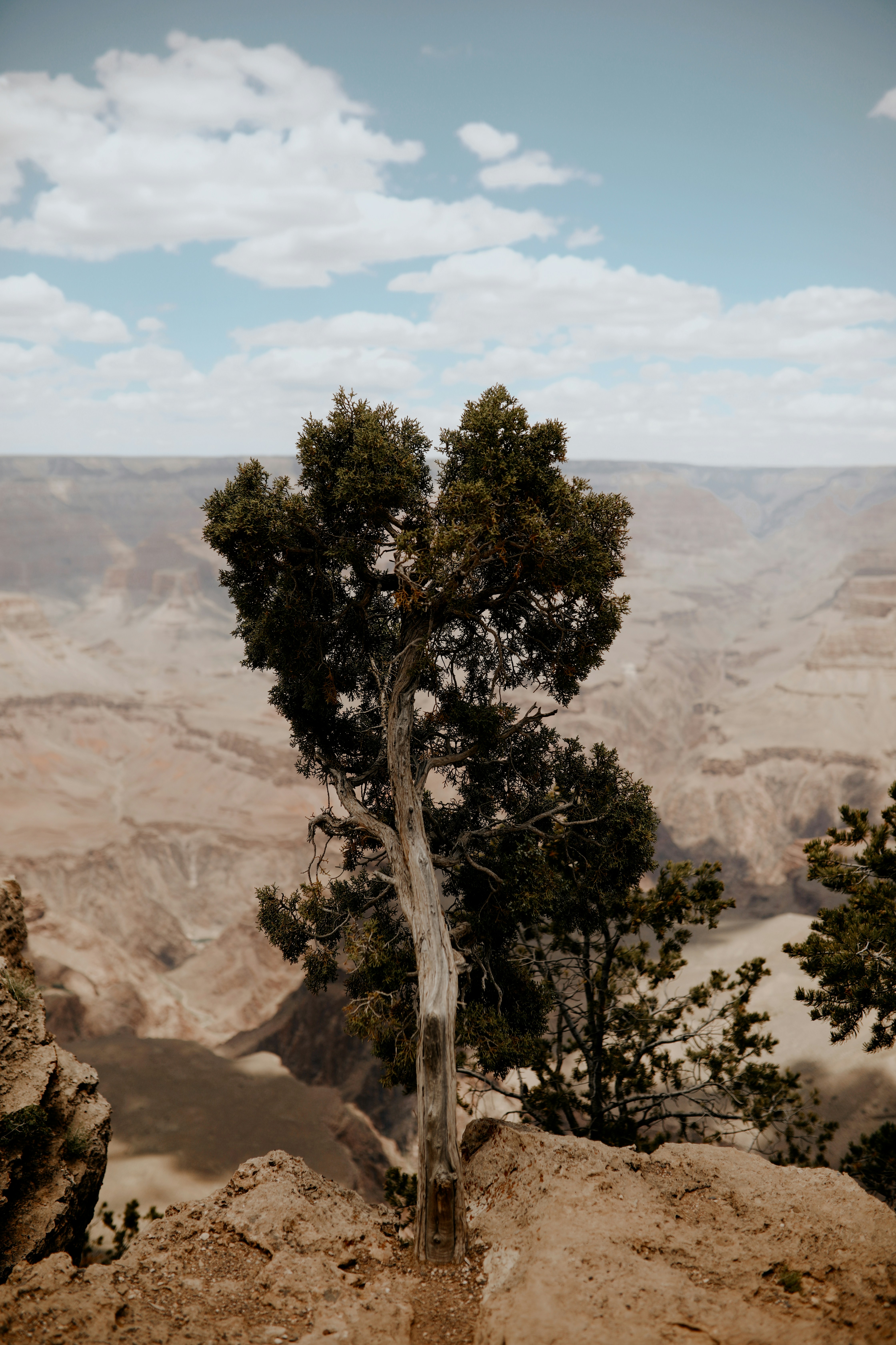 The Explanation Effect: Learn by Teaching Yourself