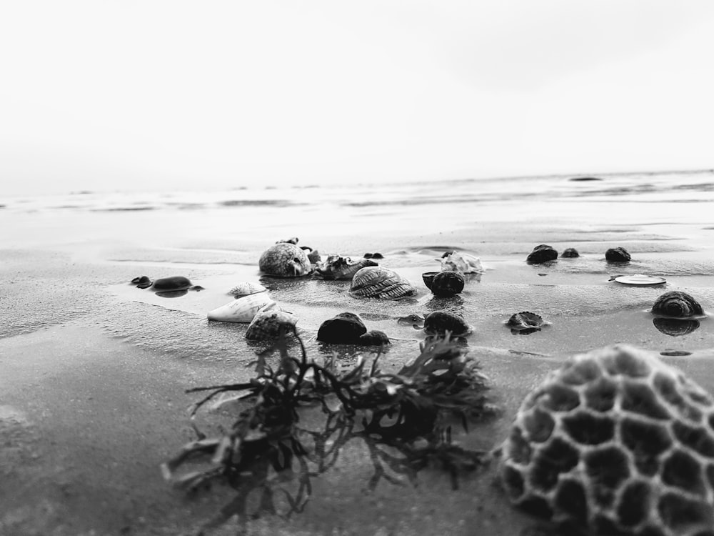 grayscale photo of stones on beach