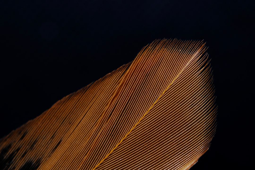 brown and white striped textile