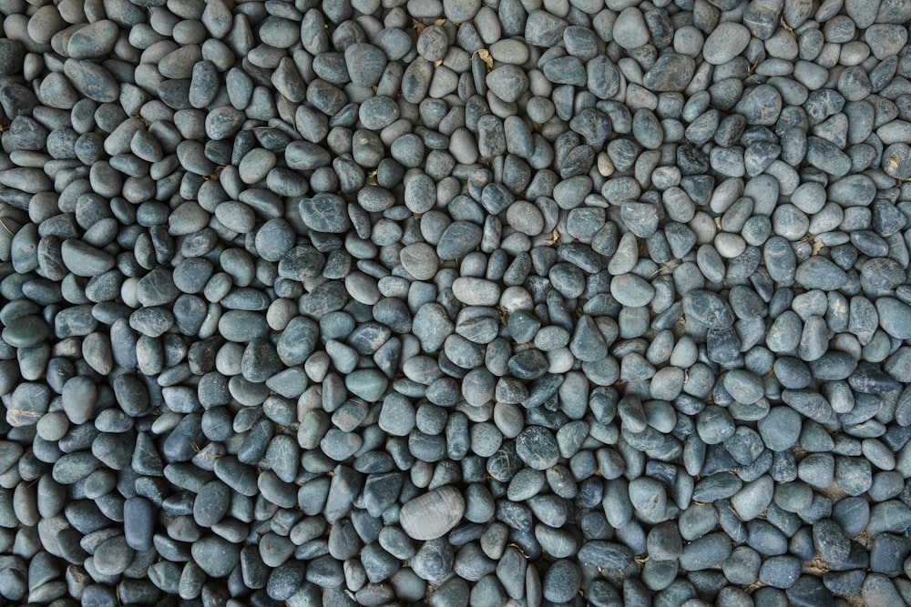 gray stones on gray soil
