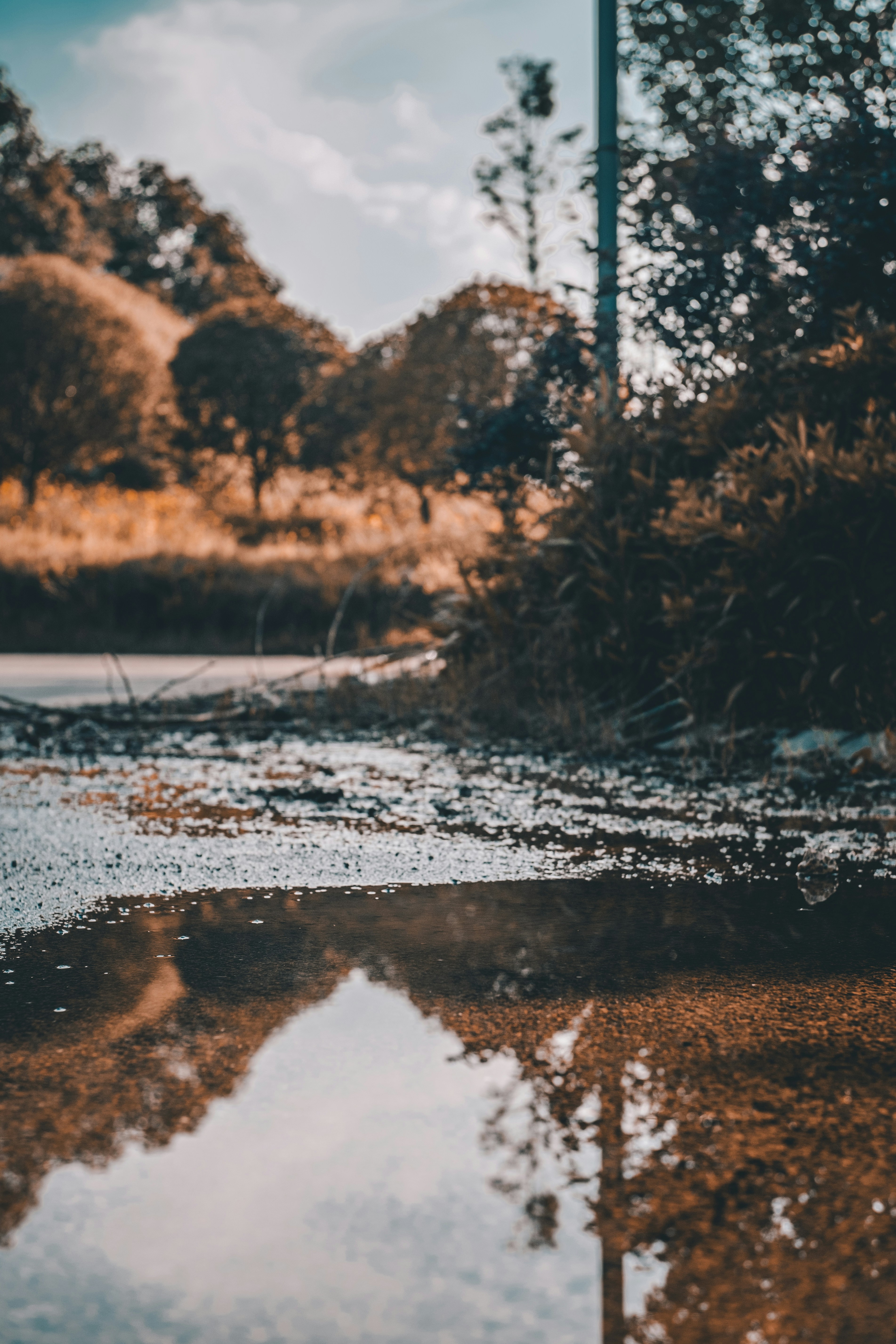 Photo by xiexianghua