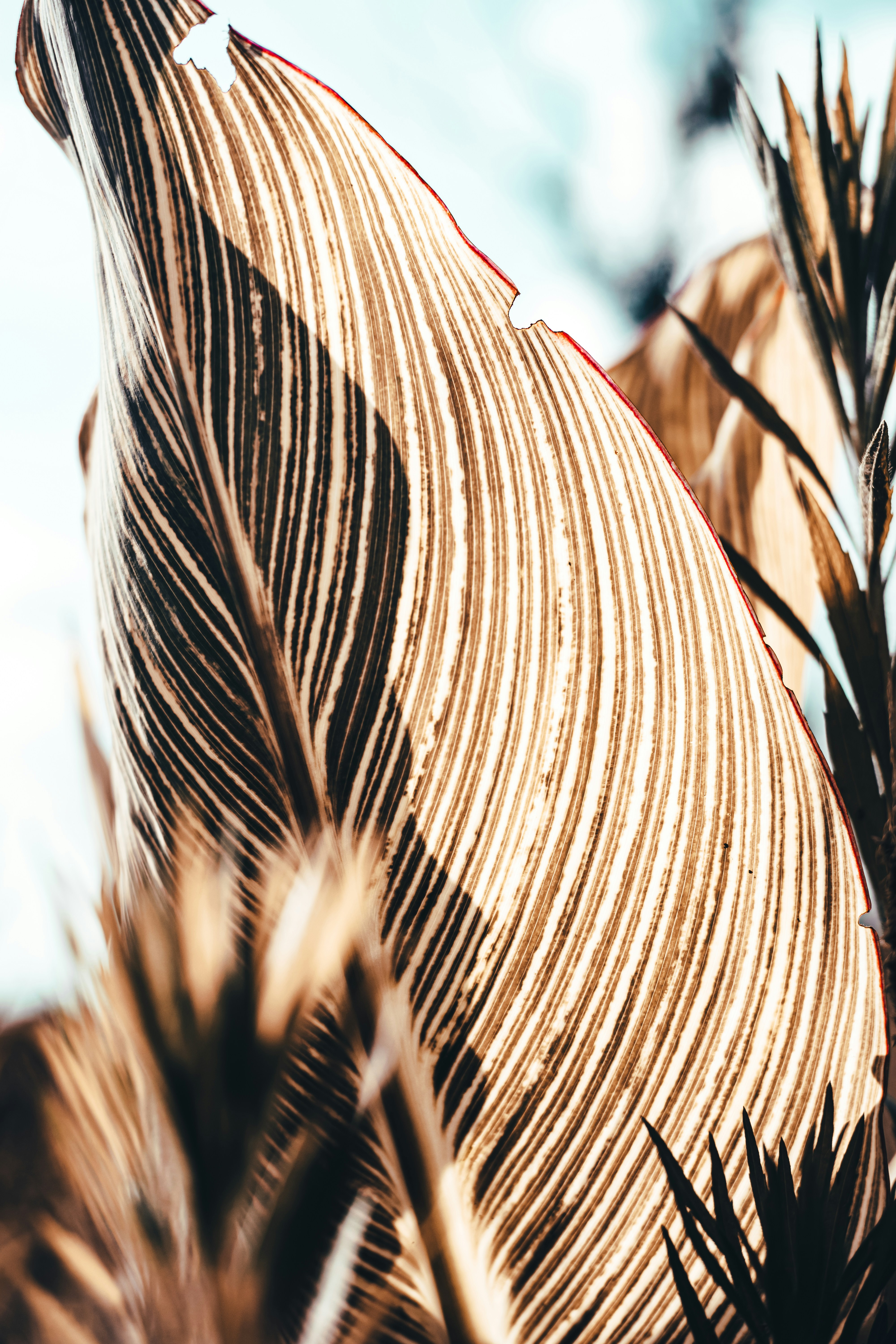 Photo by xiexianghua